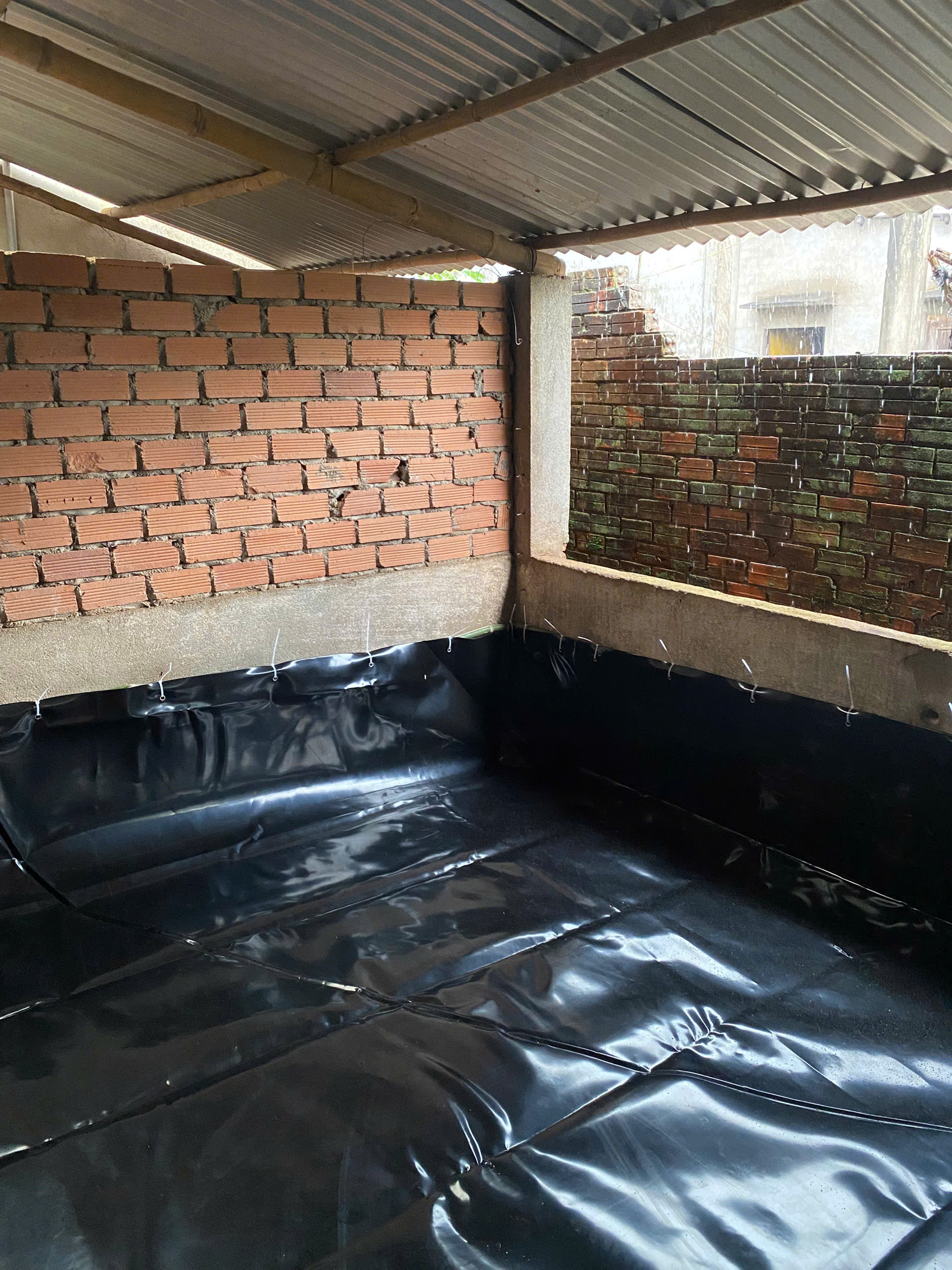 Kỹ thuật thiết kế bể nuôi lươn không bùn đạt chuẩn ngay từ đầu